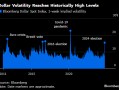 纽约汇市：美元上涨 波动率随美国大选临近而飙升