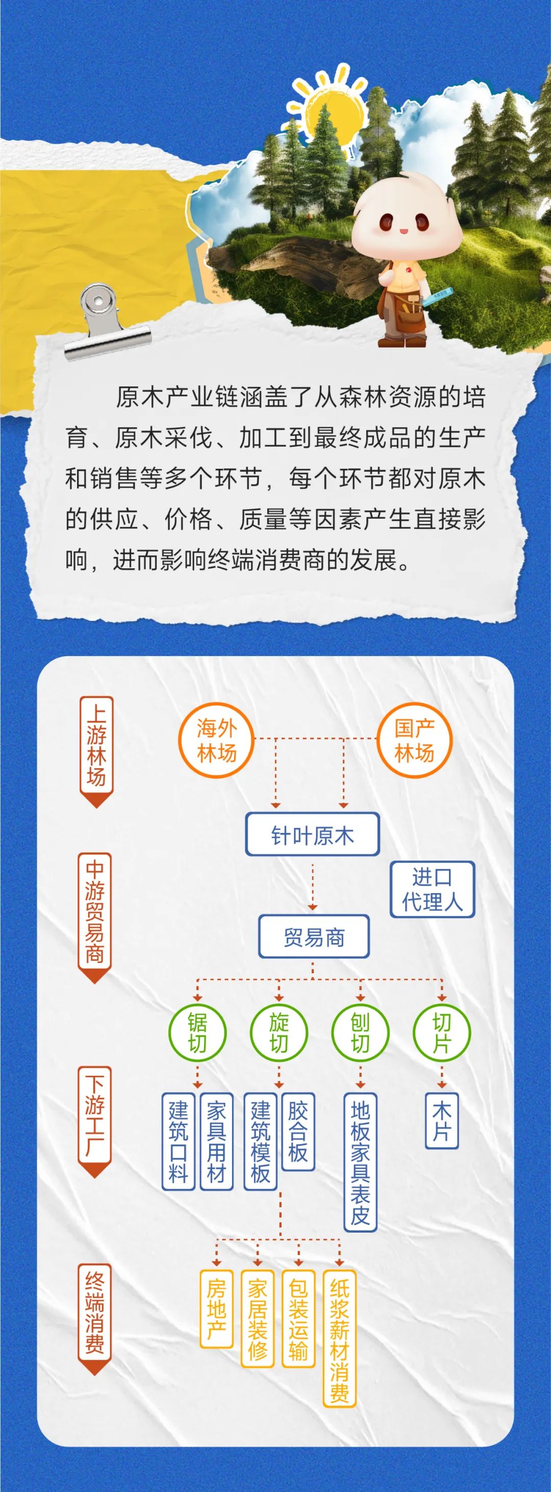 一图读懂原木期货