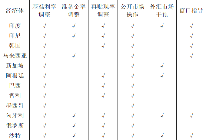 新兴市场货币政策传导机制有效性研究