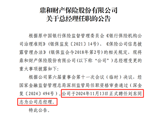 “国寿系”刘东掌舵 鼎和财险能否转危为安？