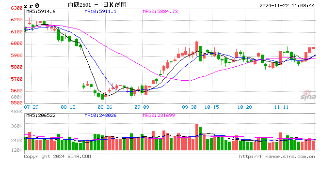 光大期货：11月22日软商品日报