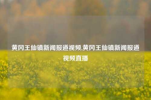 黄冈王仙镇新闻报道视频,黄冈王仙镇新闻报道视频直播