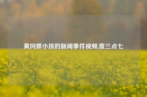 黄冈抓小孩的新闻事件视频,度三点七