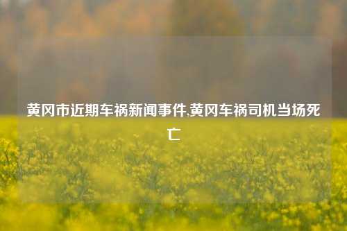 黄冈市近期车祸新闻事件,黄冈车祸司机当场死亡