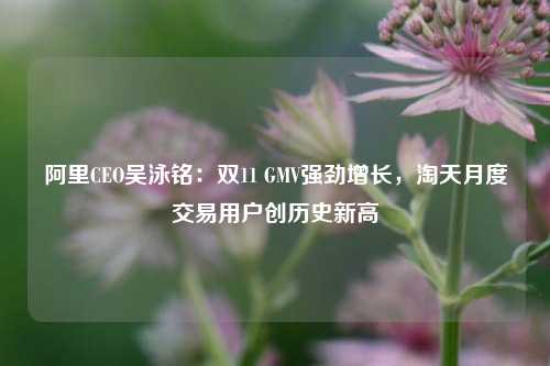 阿里CEO吴泳铭：双11 GMV强劲增长，淘天月度交易用户创历史新高