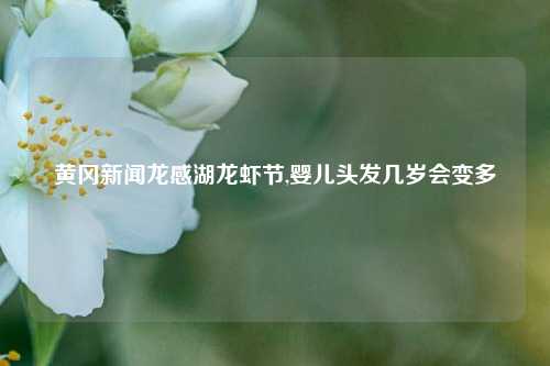 黄冈新闻龙感湖龙虾节,婴儿头发几岁会变多