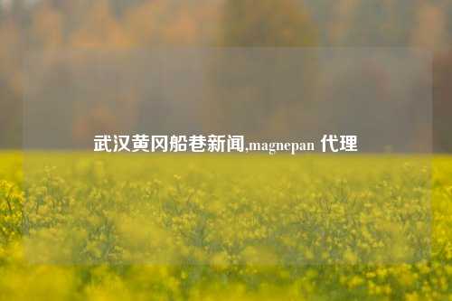 武汉黄冈船巷新闻,magnepan 代理