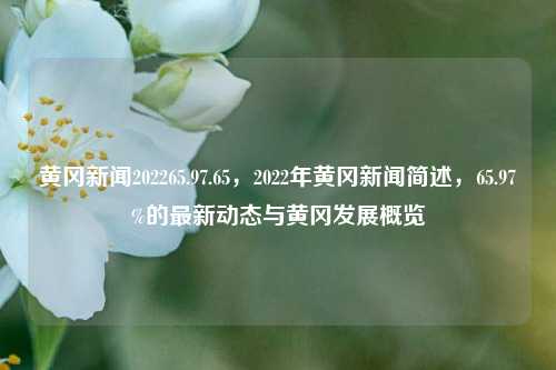 黄冈新闻202265.97.65，2022年黄冈新闻简述，65.97%的最新动态与黄冈发展概览