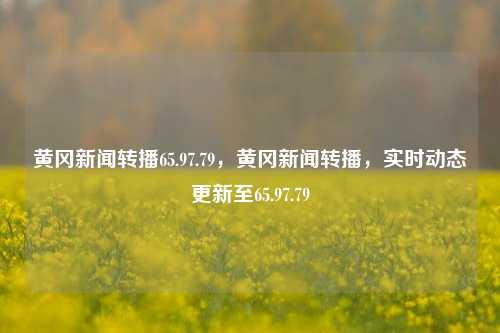 黄冈新闻转播65.97.79，黄冈新闻转播，实时动态更新至65.97.79