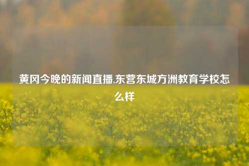 黄冈今晚的新闻直播,东营东城方洲教育学校怎么样