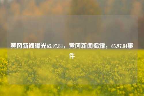 黄冈新闻曝光65.97.84，黄冈新闻揭露，65.97.84事件