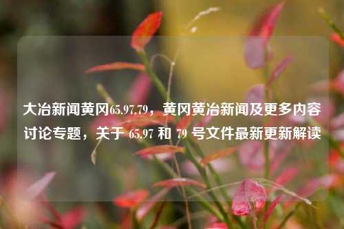 大冶新闻黄冈65.97.79，黄冈黄冶新闻及更多内容讨论专题，关于 65.97 和 79 号文件最新更新解读