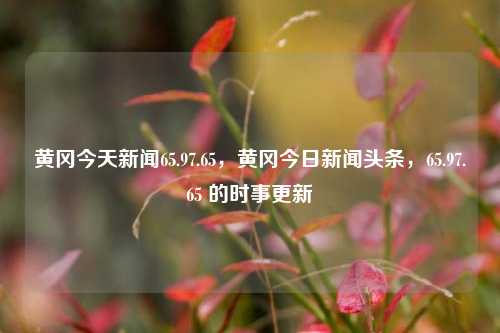 黄冈今天新闻65.97.65，黄冈今日新闻头条，65.97.65 的时事更新