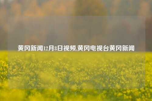 黄冈新闻12月8日视频,黄冈电视台黄冈新闻