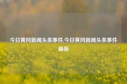 今日黄冈新闻头条事件,今日黄冈新闻头条事件最新