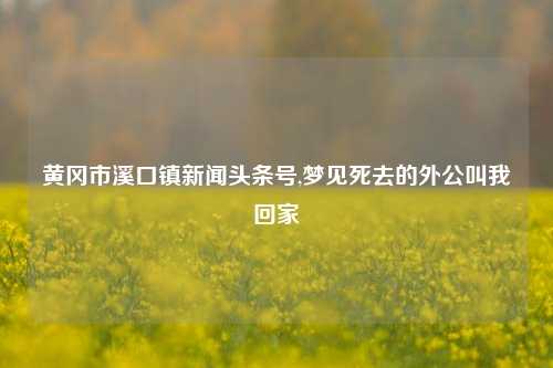 黄冈市溪口镇新闻头条号,梦见死去的外公叫我回家