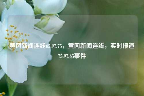 黄冈新闻连线65.97.75，黄冈新闻连线，实时报道75.97.65事件