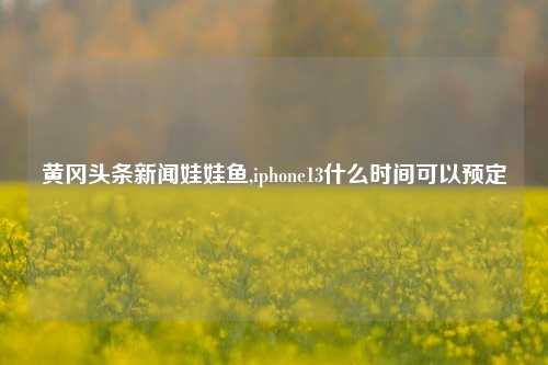 黄冈头条新闻娃娃鱼,iphone13什么时间可以预定