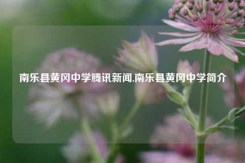 南乐县黄冈中学腾讯新闻,南乐县黄冈中学简介