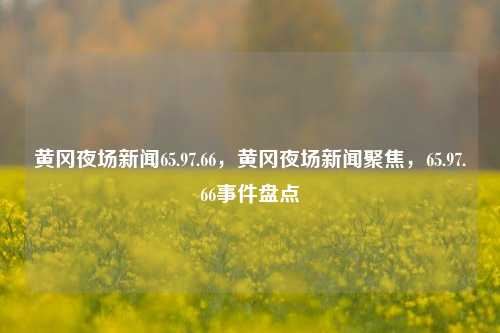 黄冈夜场新闻65.97.66，黄冈夜场新闻聚焦，65.97.66事件盘点