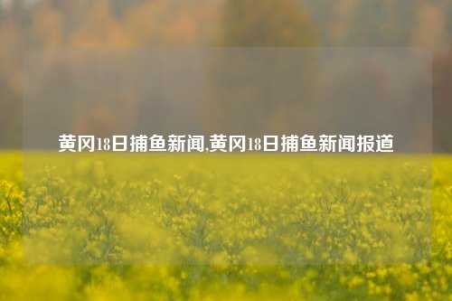 黄冈18日捕鱼新闻,黄冈18日捕鱼新闻报道