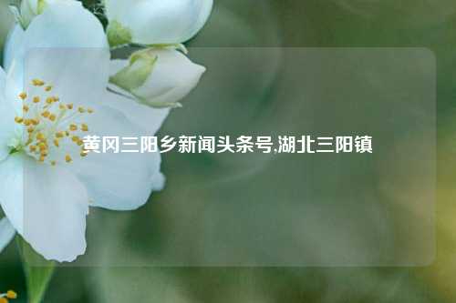 黄冈三阳乡新闻头条号,湖北三阳镇