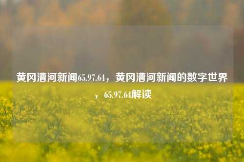 黄冈漕河新闻65.97.64，黄冈漕河新闻的数字世界，65.97.64解读