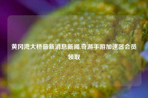 黄冈湾大桥最新消息新闻,奇游手游加速器会员领取