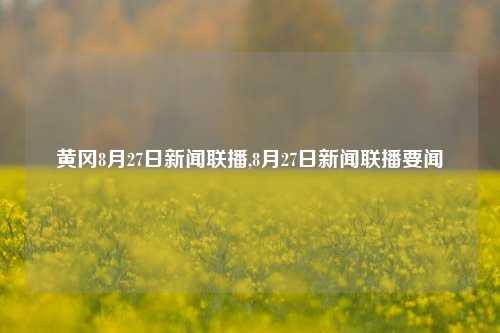 黄冈8月27日新闻联播,8月27日新闻联播要闻