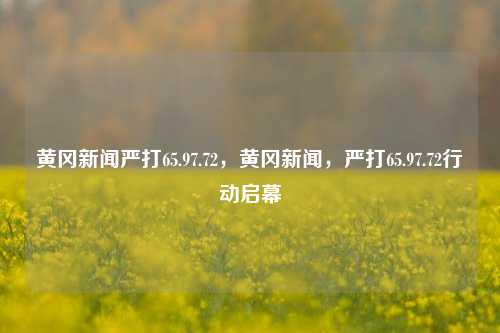 黄冈新闻严打65.97.72，黄冈新闻，严打65.97.72行动启幕