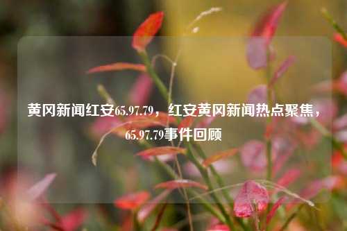 黄冈新闻红安65.97.79，红安黄冈新闻热点聚焦，65.97.79事件回顾