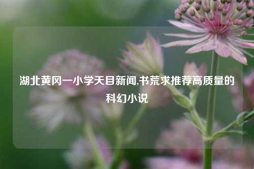 湖北黄冈一小学天目新闻,书荒求推荐高质量的科幻小说