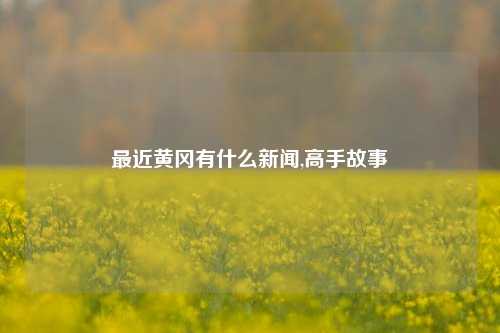 最近黄冈有什么新闻,高手故事