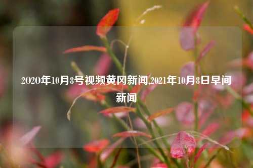 2O2O年10月8号视频黄冈新闻,2021年10月8日早间新闻