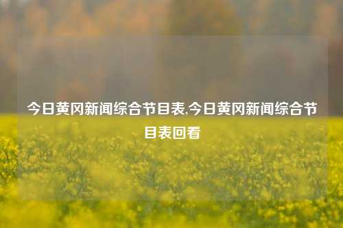 今日黄冈新闻综合节目表,今日黄冈新闻综合节目表回看