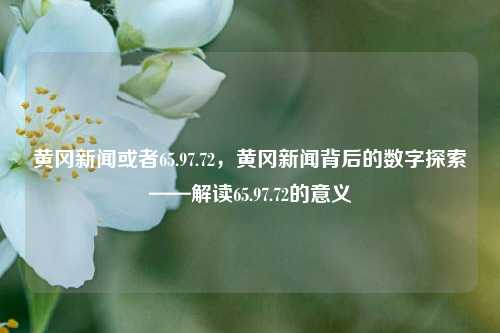 黄冈新闻或者65.97.72，黄冈新闻背后的数字探索——解读65.97.72的意义