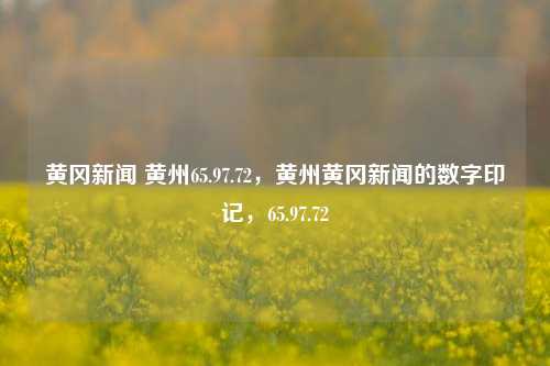 黄冈新闻 黄州65.97.72，黄州黄冈新闻的数字印记，65.97.72