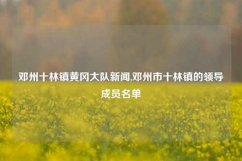 邓州十林镇黄冈大队新闻,邓州市十林镇的领导成员名单