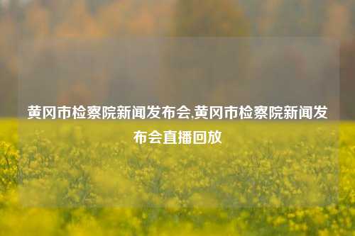 黄冈市检察院新闻发布会,黄冈市检察院新闻发布会直播回放