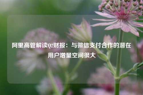 阿里高管解读Q2财报：与微信支付合作的潜在用户增量空间很大