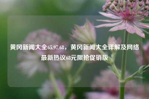 黄冈新闻大全65.97.68，黄冈新闻大全详解及网络最新热议68元限抢促销版