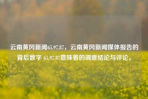 云南黄冈新闻65.97.87，云南黄冈新闻媒体报告的背后数字 65.97.87意味着的调查结论与评论。