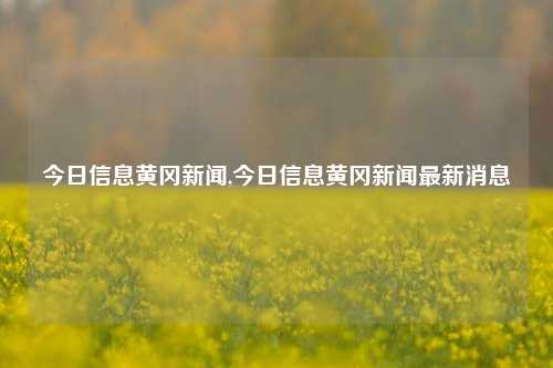 今日信息黄冈新闻,今日信息黄冈新闻最新消息