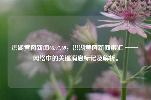 洪湖黄冈新闻65.97.69，洪湖黄冈新闻集汇 —— 网络中的关键消息标记及解析。