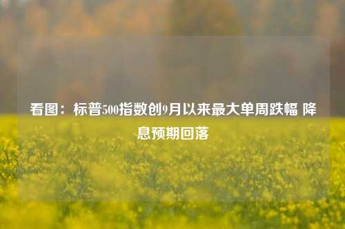 看图：标普500指数创9月以来最大单周跌幅 降息预期回落