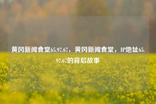 黄冈新闻食堂65.97.67，黄冈新闻食堂，IP地址65.97.67的背后故事