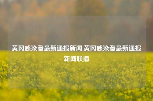 黄冈感染者最新通报新闻,黄冈感染者最新通报新闻联播