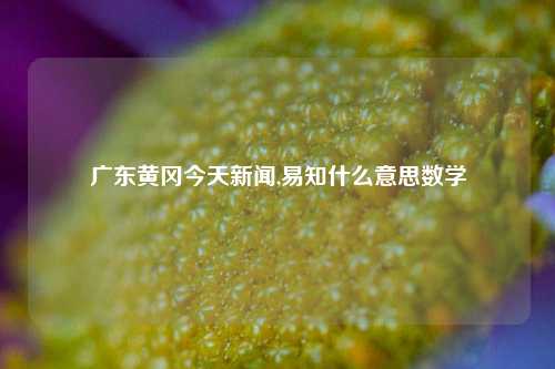 广东黄冈今天新闻,易知什么意思数学