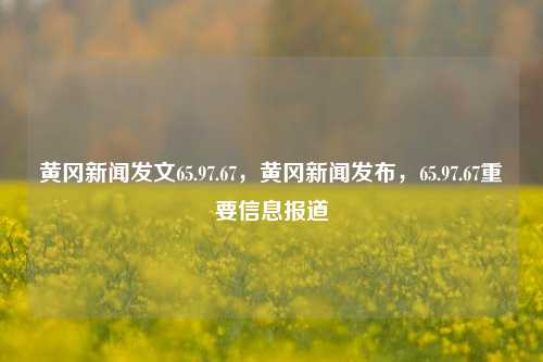 黄冈新闻发文65.97.67，黄冈新闻发布，65.97.67重要信息报道