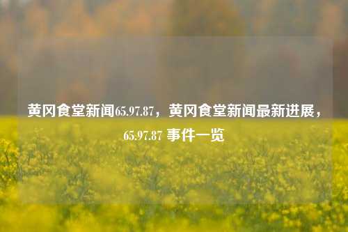 黄冈食堂新闻65.97.87，黄冈食堂新闻最新进展，65.97.87 事件一览